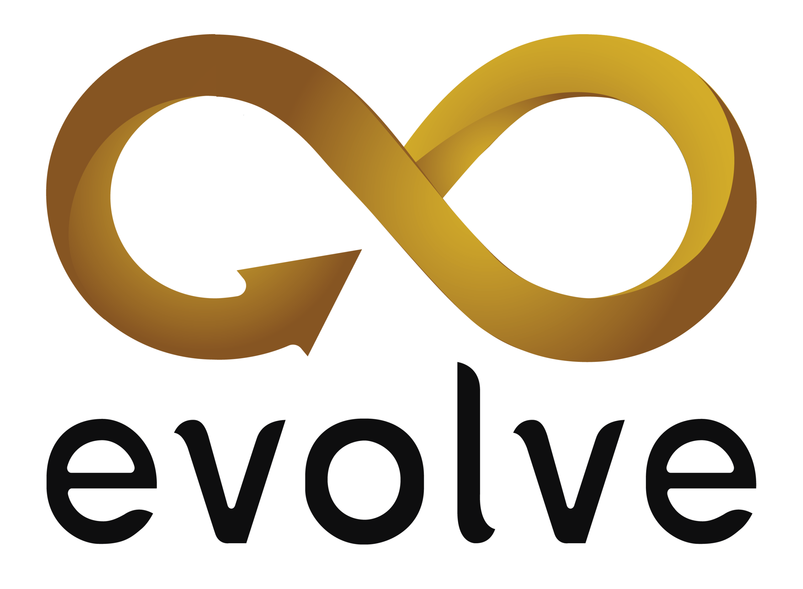 Logo-Co-Evolve